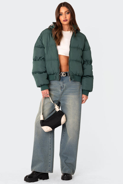 Frosty Hooded Puffer