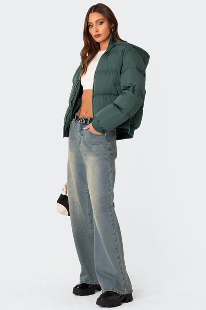 Frosty Hooded Puffer