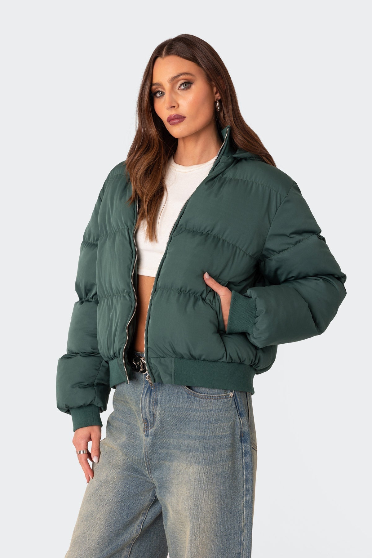 Frosty Hooded Puffer