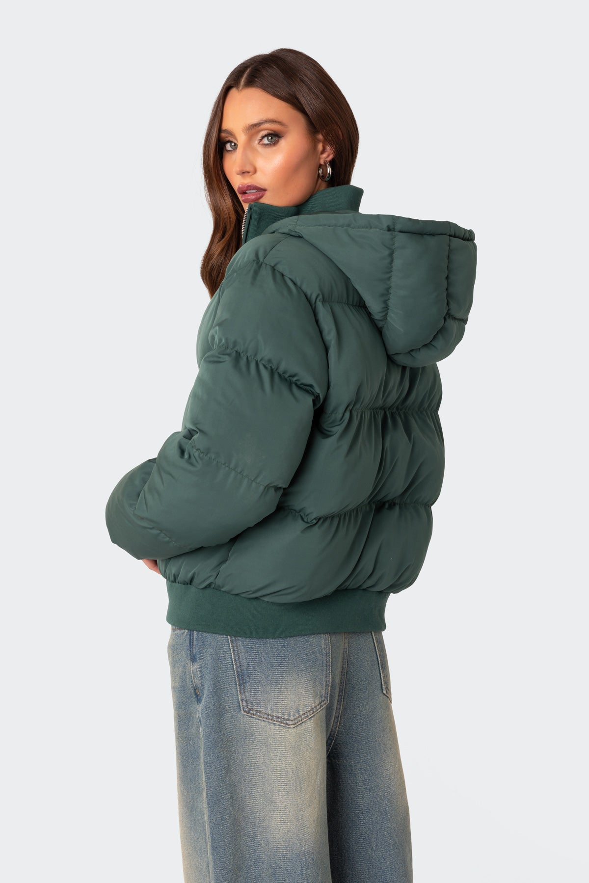 Frosty Hooded Puffer