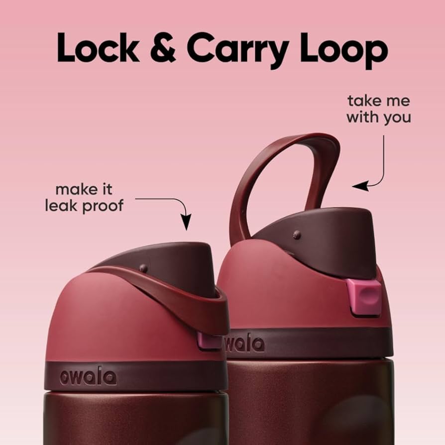 24oz Dark Cherry Stainless Steel Insulated Bottle