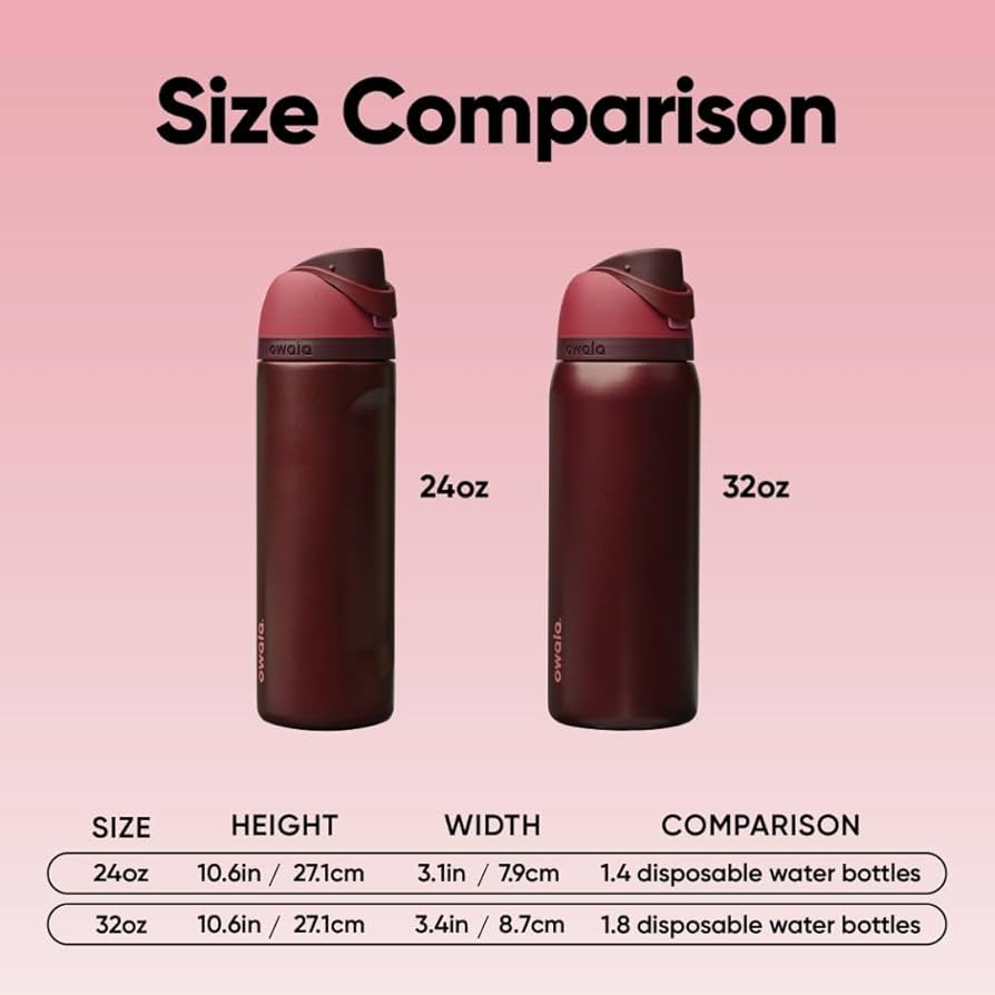 24oz Dark Cherry Stainless Steel Insulated Bottle